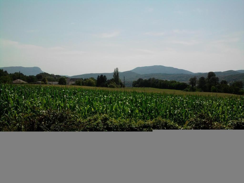 Chambres D'Hotes La Prairie Belley Rum bild